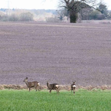 Meadow Farm Cottage Saxlingham Thorpe ภายนอก รูปภาพ